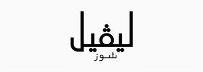 Levelshoes logo